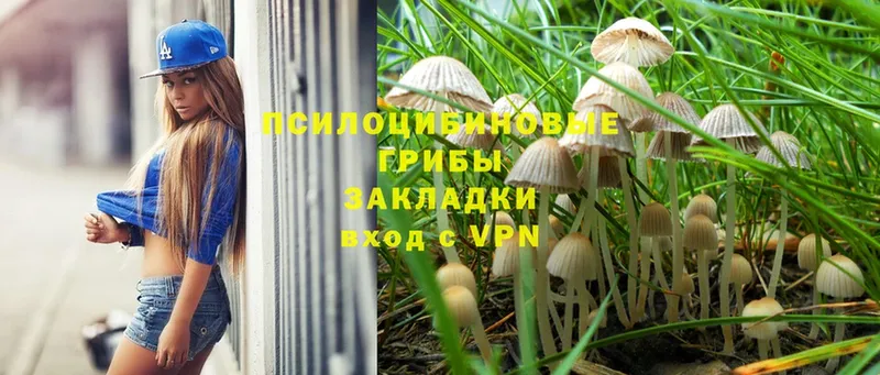 Галлюциногенные грибы MAGIC MUSHROOMS  Ветлуга 